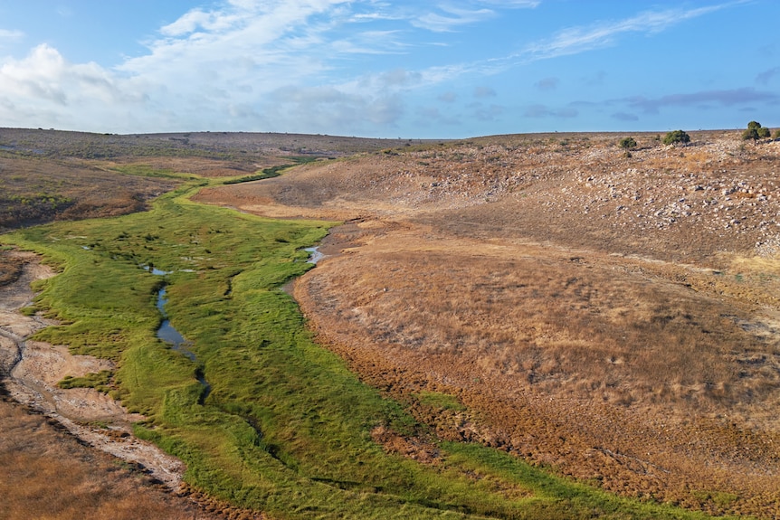 a stripe of green on a dusty landscape