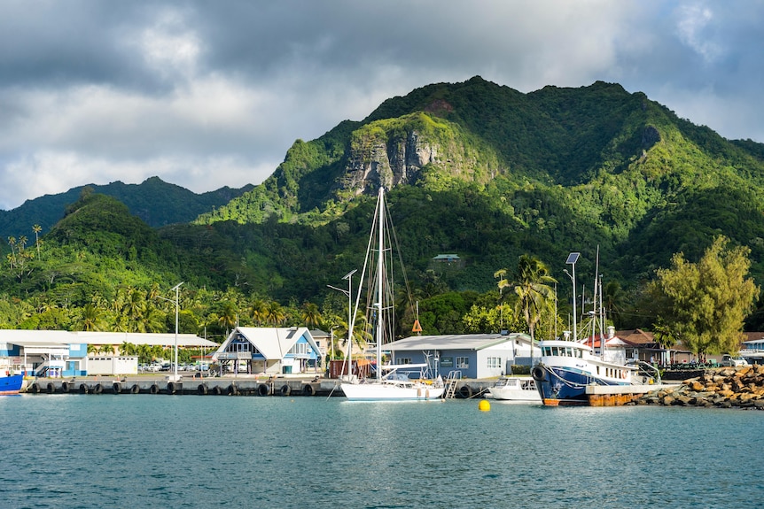 A view from the ocean of a small town, boats at dock and forest-covered hills.