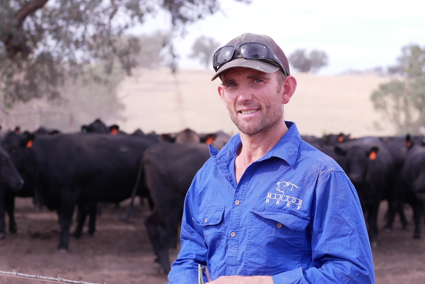 A man in a blue shirt smiles at the camera with angus cows in the background