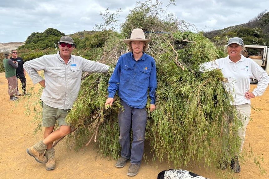 Three people stand in front of native brushes.