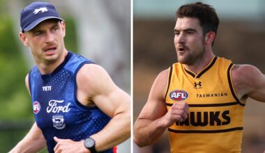 Hawthorn Hawks v Geelong Cats, match simulation, live scores, updates, stats, video, stream, result, news, blog, full guide and how to watch