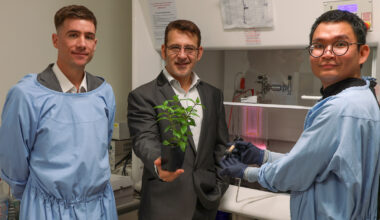 Australian researchers innovate with peppermint oil coating to fight infections in medical devices