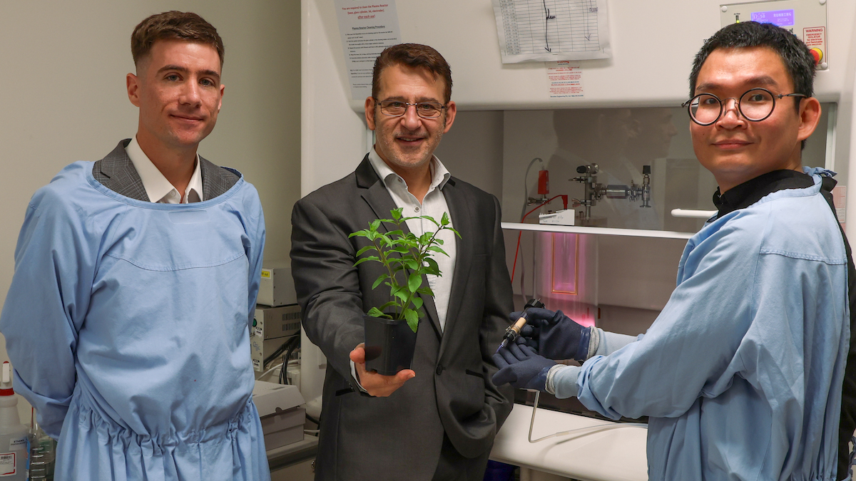 Australian researchers innovate with peppermint oil coating to fight infections in medical devices