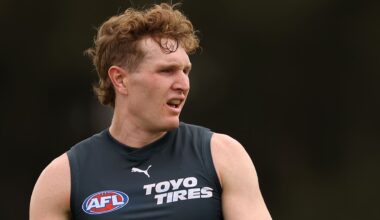 GWS star's season appears over after serious injury - AFL News