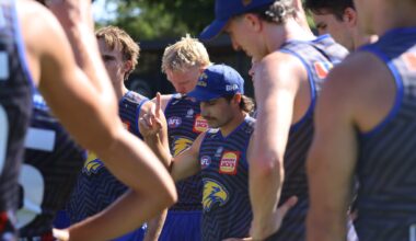 Training report: Emerging Eagles impress