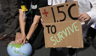 UN approves first carbon credit to Myanmar woodstove project