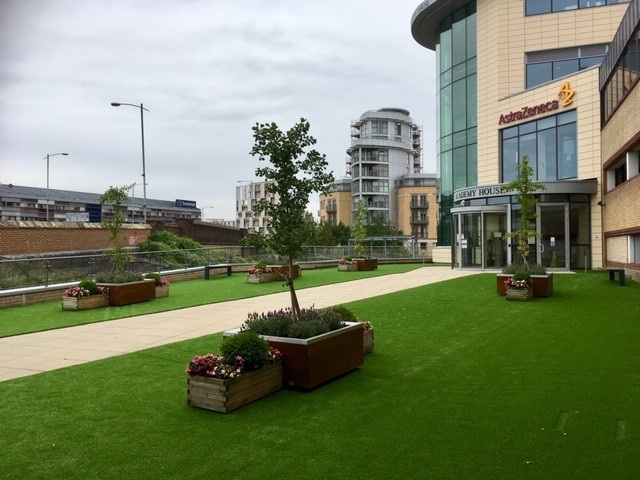 Breztri Asthma Trials Show Promising Phase III Results