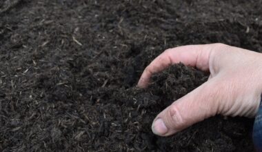 Image: EvaRuth/stock.adobe.com