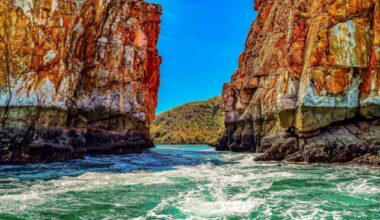 250 million-year-old amphibian fossils from Australia reveal global spread of ‘sea-salamanders’