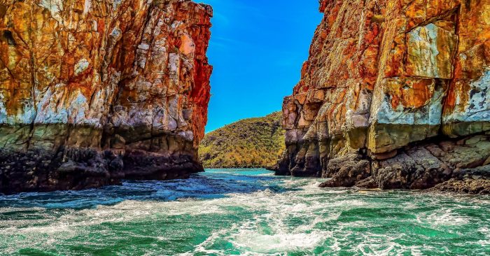 250 million-year-old amphibian fossils from Australia reveal global spread of ‘sea-salamanders’