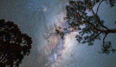 After Decades Of Mystery, Scientists Have Finally Mapped The Milky Way’s Magnetic Field