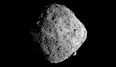 Brighter Side of News