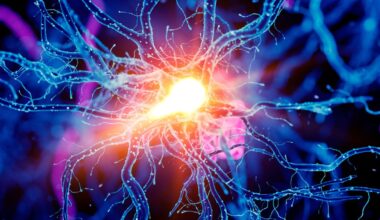 Scientists Discover a Brain Circuit That Enhances Physical Endurance In Mice : ScienceAlert