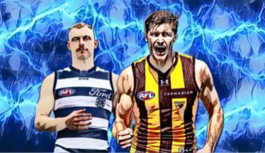 Match Sim Report - Hawks v Cats