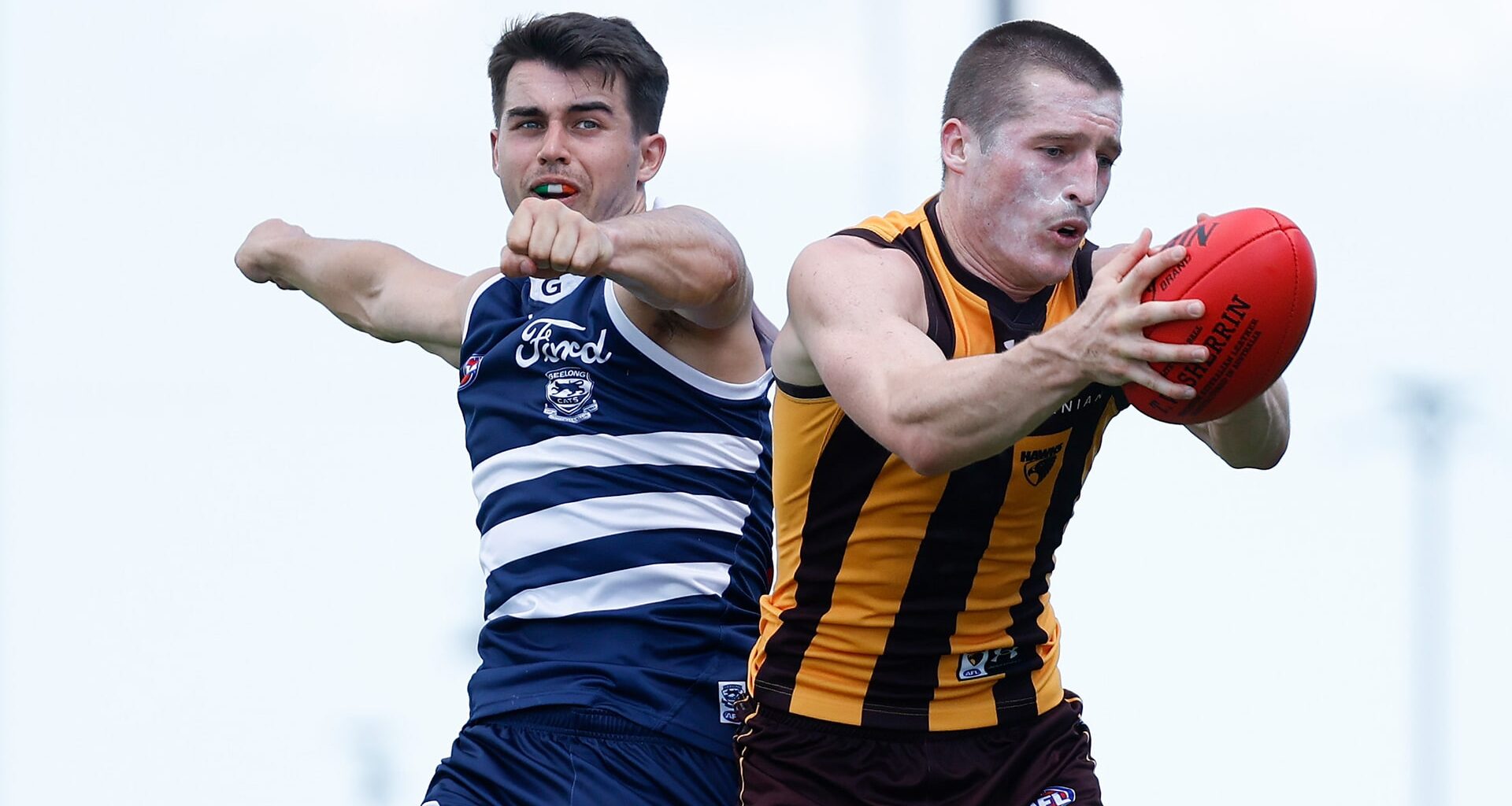 Young Cats forward stakes his claim as Hawks impress