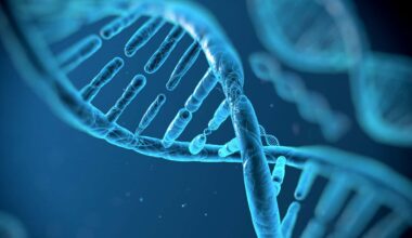 Genetic analysis reveals shared biology between testosterone and depression