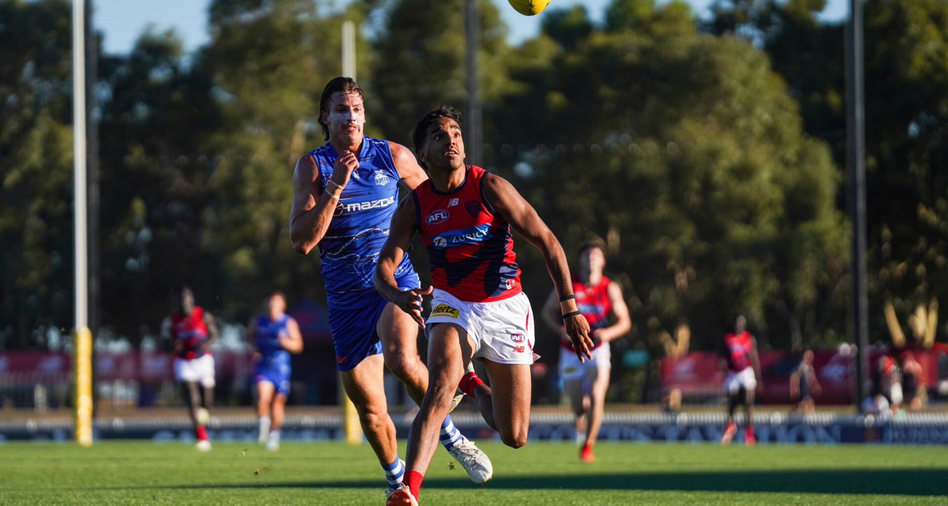 VFL Report | Dees tick off first practice match