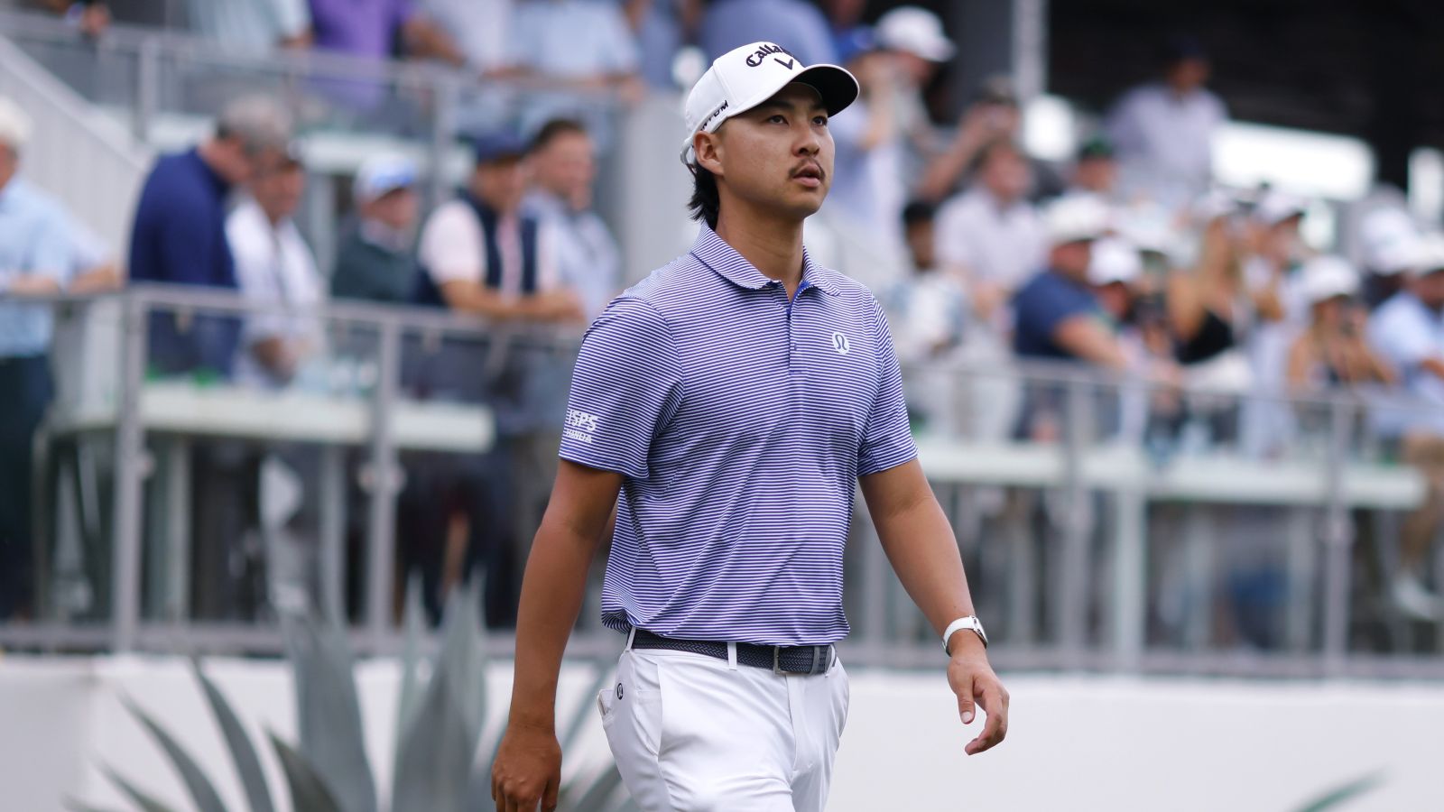 Slow-cooking Aussie has Phoenix Open leaders in sight - News