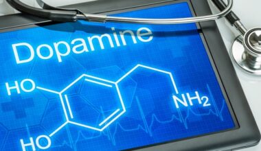 Dopamine bursts drive faster movement during happy moments
