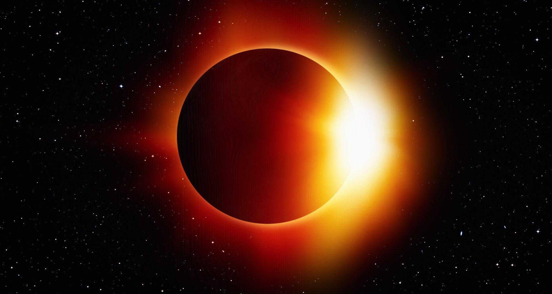 Solar eclipse reveals how animals respond to sudden darkness