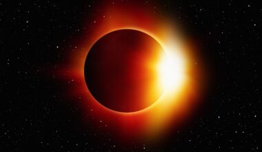 Solar eclipse reveals how animals respond to sudden darkness