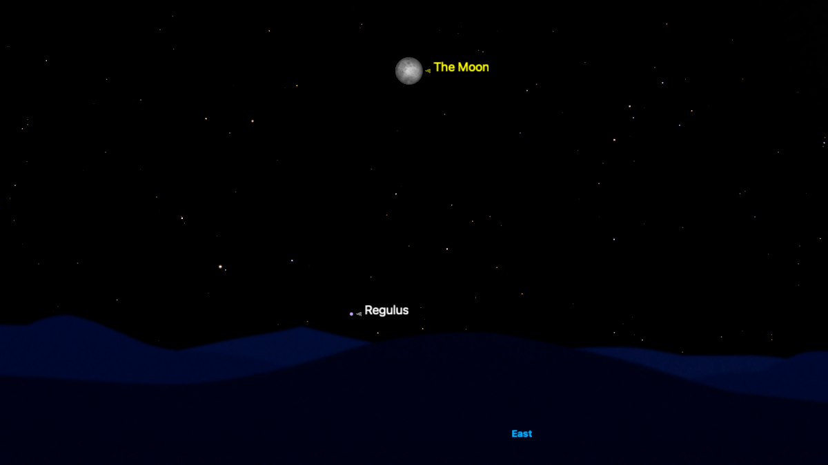 A simulation of the night sky for Feb. 1 showing the full moon rising in the eastern sky with the bright star Regulus below, close to the horizon.