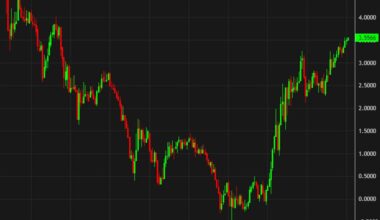 German 30-year borrowing rates hit the highest level since 2011