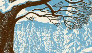 How to deal with the winter blues and actually enjoy the cold