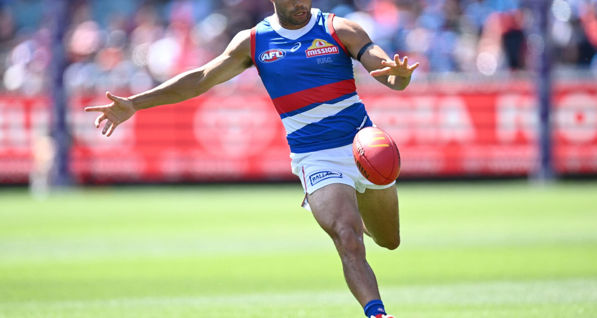 Premiership Dog signs with Victorian club - AFL News