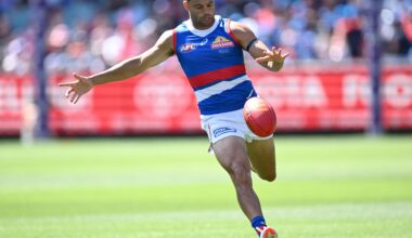 Premiership Dog signs with Victorian club - AFL News