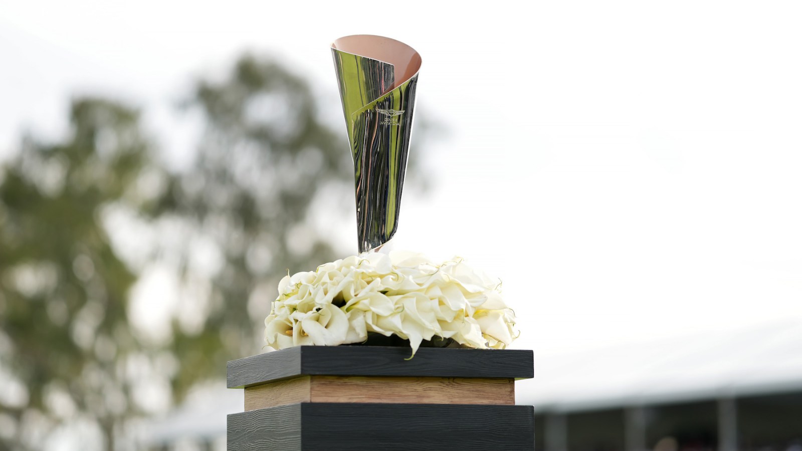 How to Watch 2026 Genesis Invitational Golf Tournament Online for Free