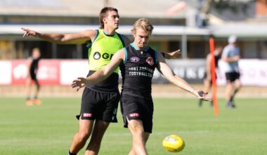 Power star faces fresh injury scare - AFL News