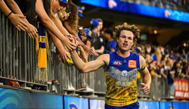 Drysdale adds ex-AFL talent - K ROCK 95.5