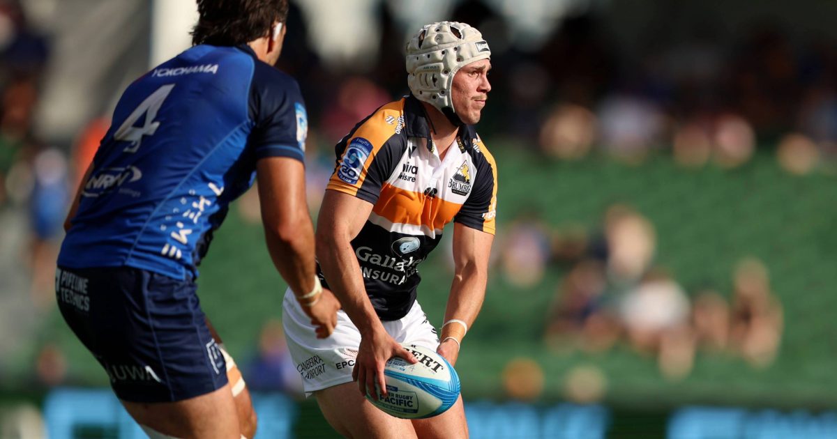 Wallabies bolter watch, Charlie Cale delivers