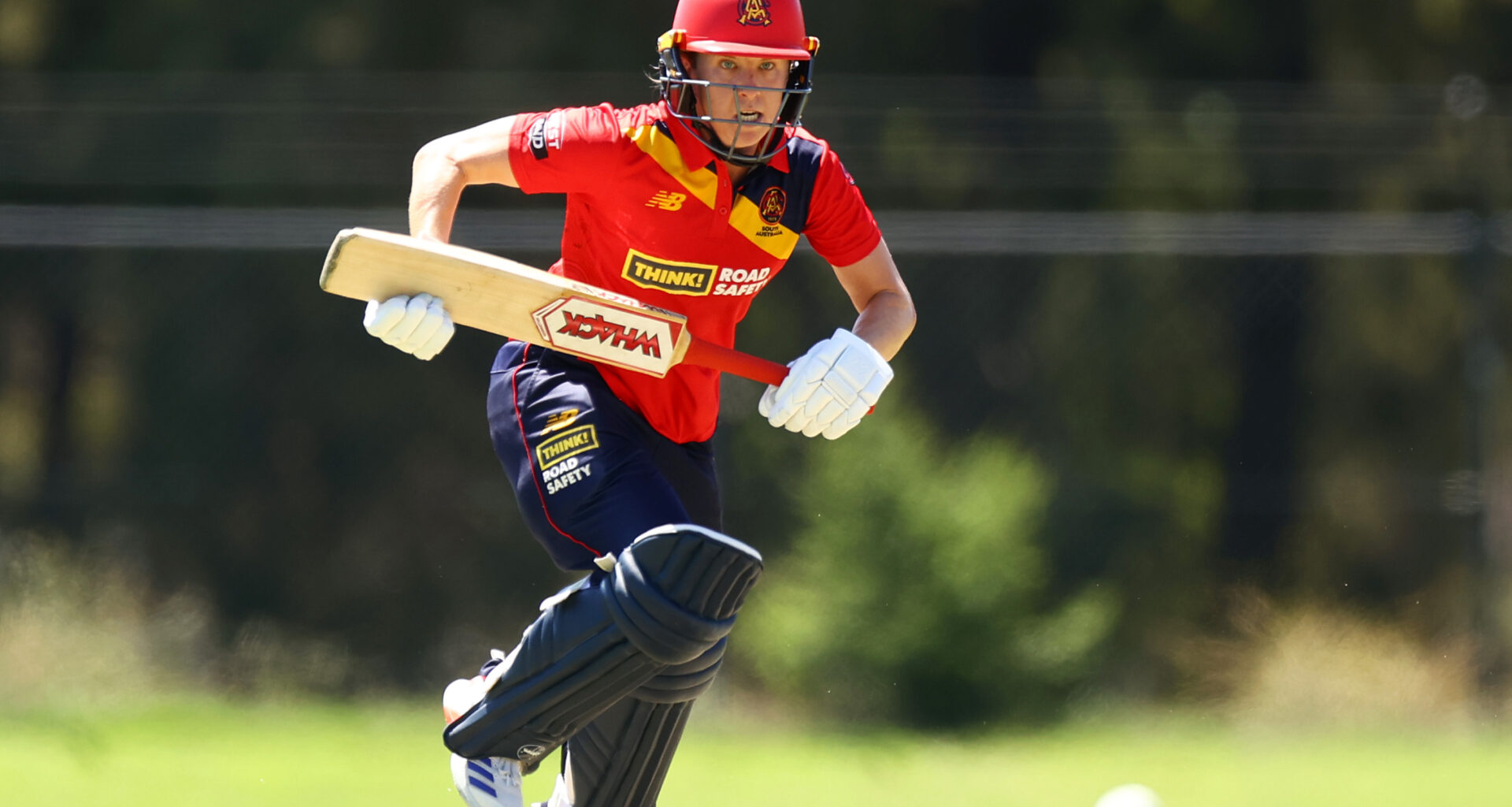 South Australia wins in Wellington's 100th game