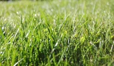 NFL coming to Melbourne