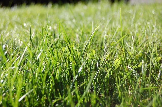 NFL coming to Melbourne