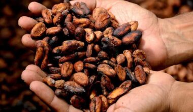 Cocoa Prices Pressured by Robust Supplies and Weak…