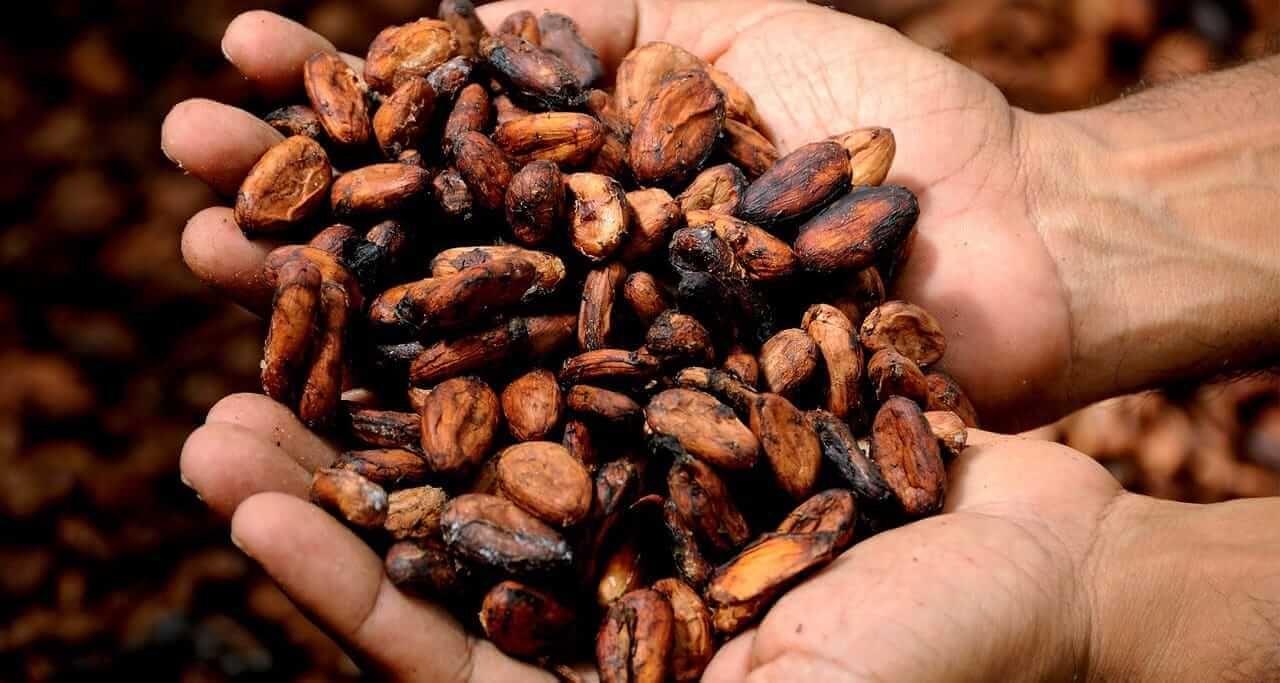 Cocoa Prices Pressured by Robust Supplies and Weak…