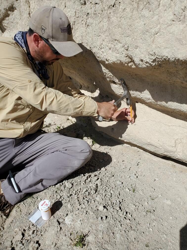Slippery Rock University paleontologist and assistant professor Fabian Hardy excavating a 10-million-year-old rodent jaw from the Dove Spring Formation. Image credit: Katharine Loughney