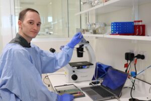 Kidney Cells Exposed To Nanoplastics