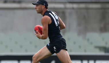 Hayward’s first impressions of Carlton