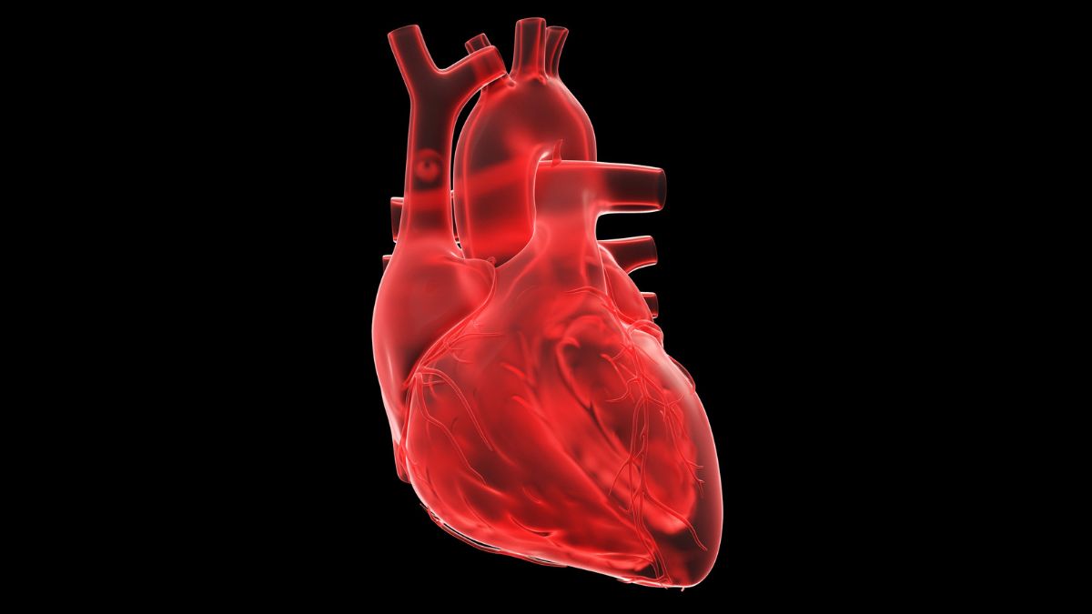 Beating 'Heart-on-a-Chip' Could Help Fight The World's Leading Cause of Death : ScienceAlert