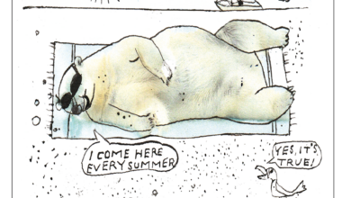 The inconvenient truth about polar bears