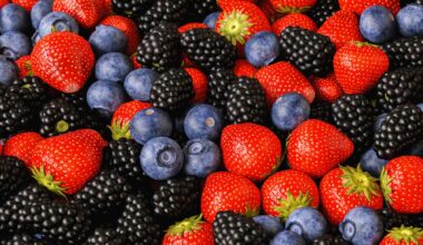 Review: Berry Consumption and Its Role in the Modulation of Obesity and Mild Cognitive Impairment. Image Credit: r.classen / Shutterstock