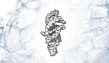 Building blocks for the origins of life