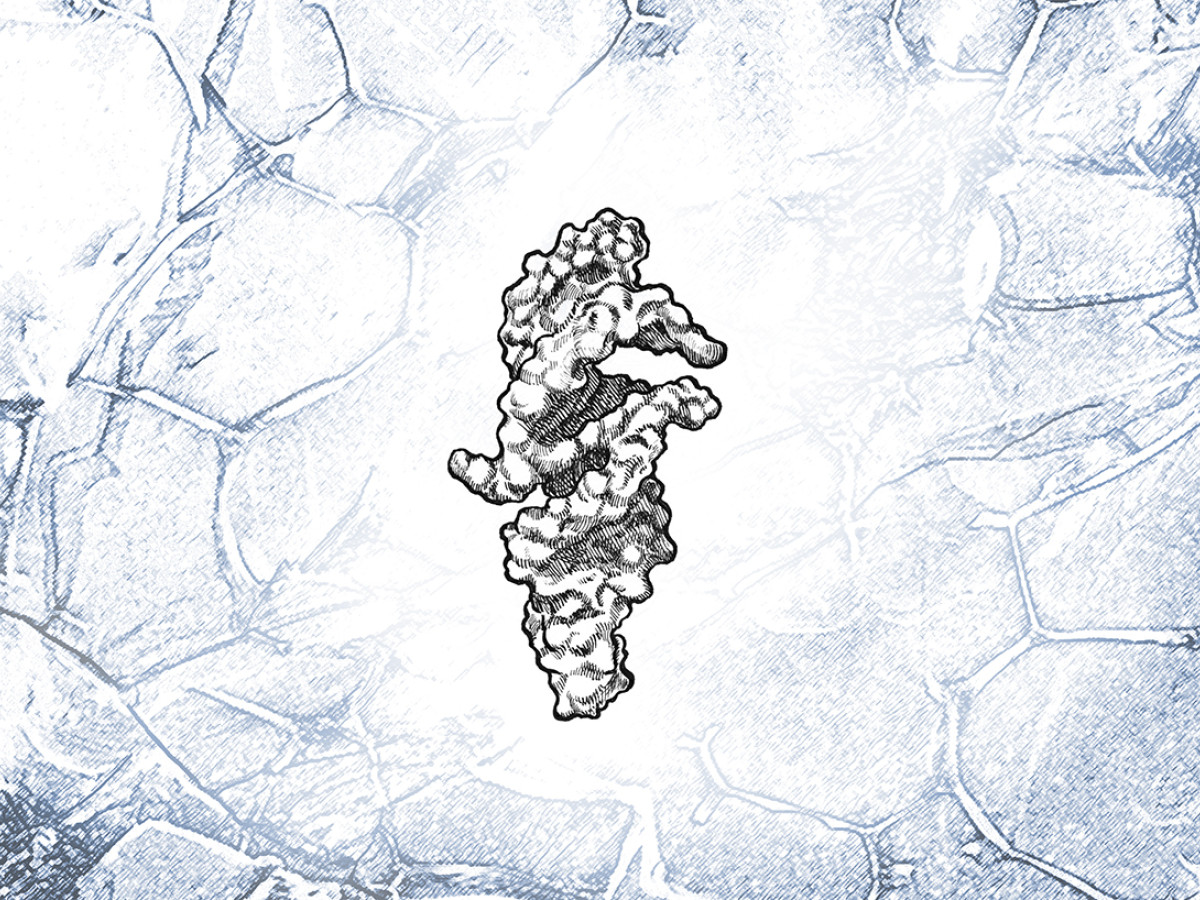 Building blocks for the origins of life