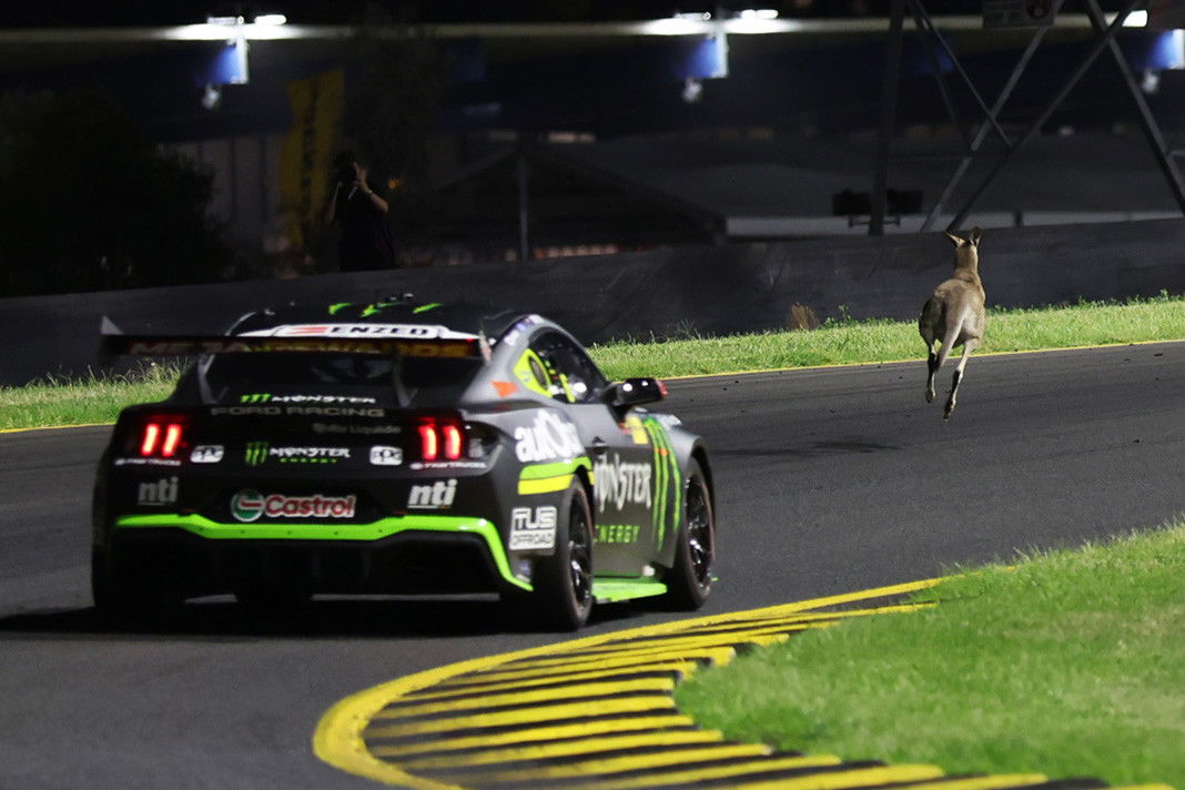 Kangaroo track invasion stops Sydney Supercars test