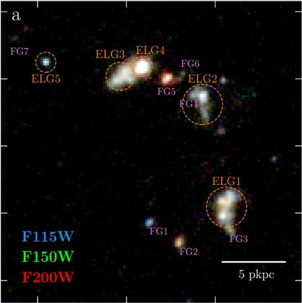 This JWST image shows the five interacting galaxies circled in dotted orange. The quintuplet was found interacting and colliding only 800 million years after the Big Bang. New research also showed that the collision was spreading heavy elements out into the surroundings. Image Credit: Hu et al. 2025 NatAstr