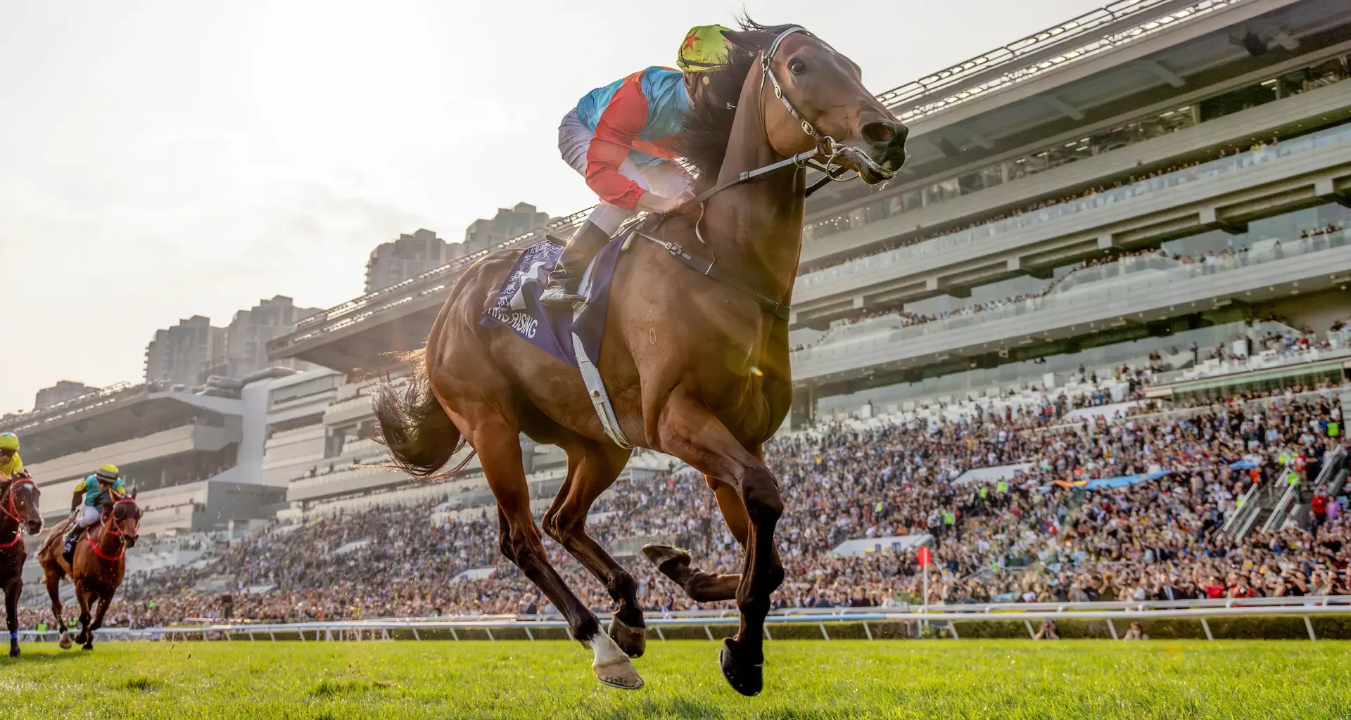 The record falls! Win No.18 for Ka Ying Rising